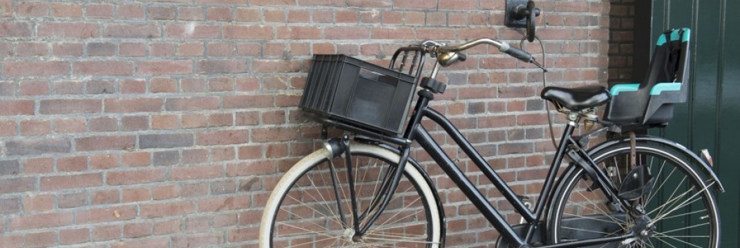 bike rental delivery